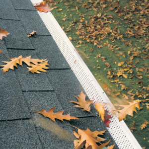 eavestrough protection